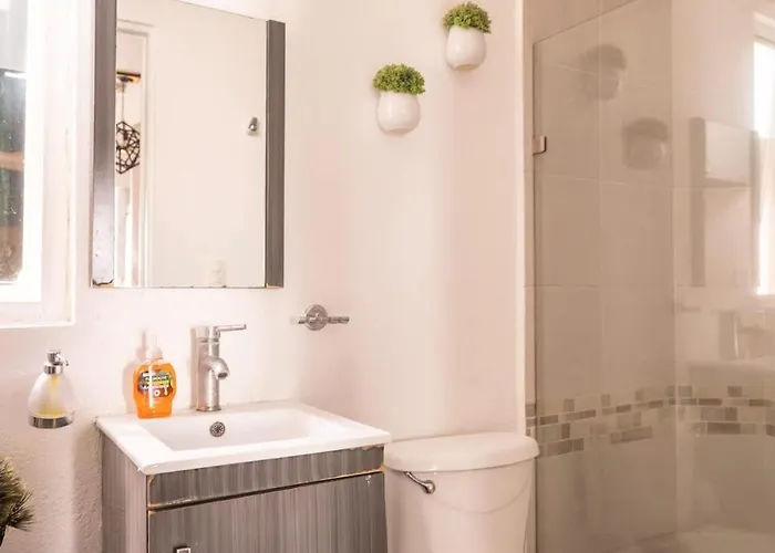 Cozy And Centrally Located Near Polanco Apartment Mexico City